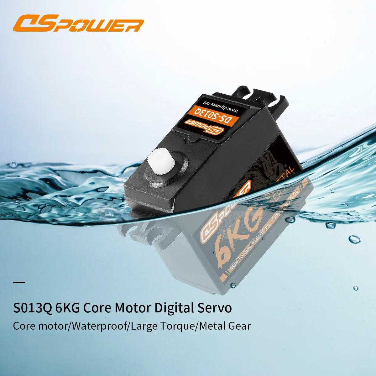 DSpower 6KG Waterproof Servos  - Esc Waterproof 60A 리뷰 및 가격