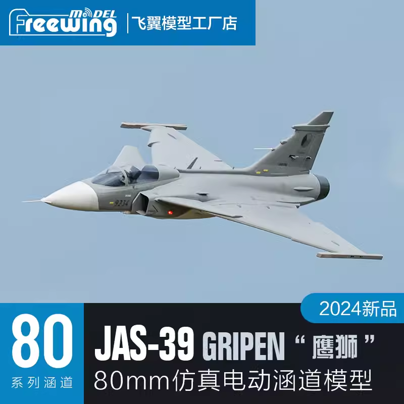 Freewing Electric 80 jet RC Pl - Rc Hobby Land 리뷰 및 가격